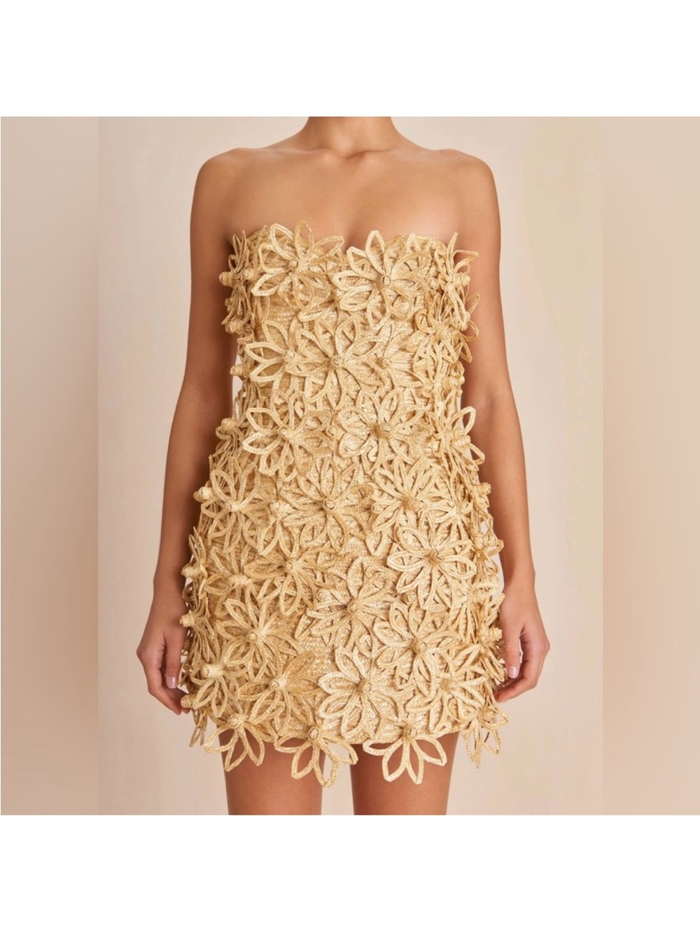 CULT GAIA Tan Rattan Strapless Floral Appliqué Mini Dress